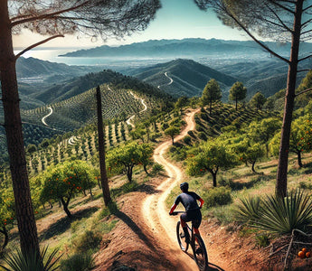 Descubre las mejores rutas en MTB para explorar la provincia de Málaga