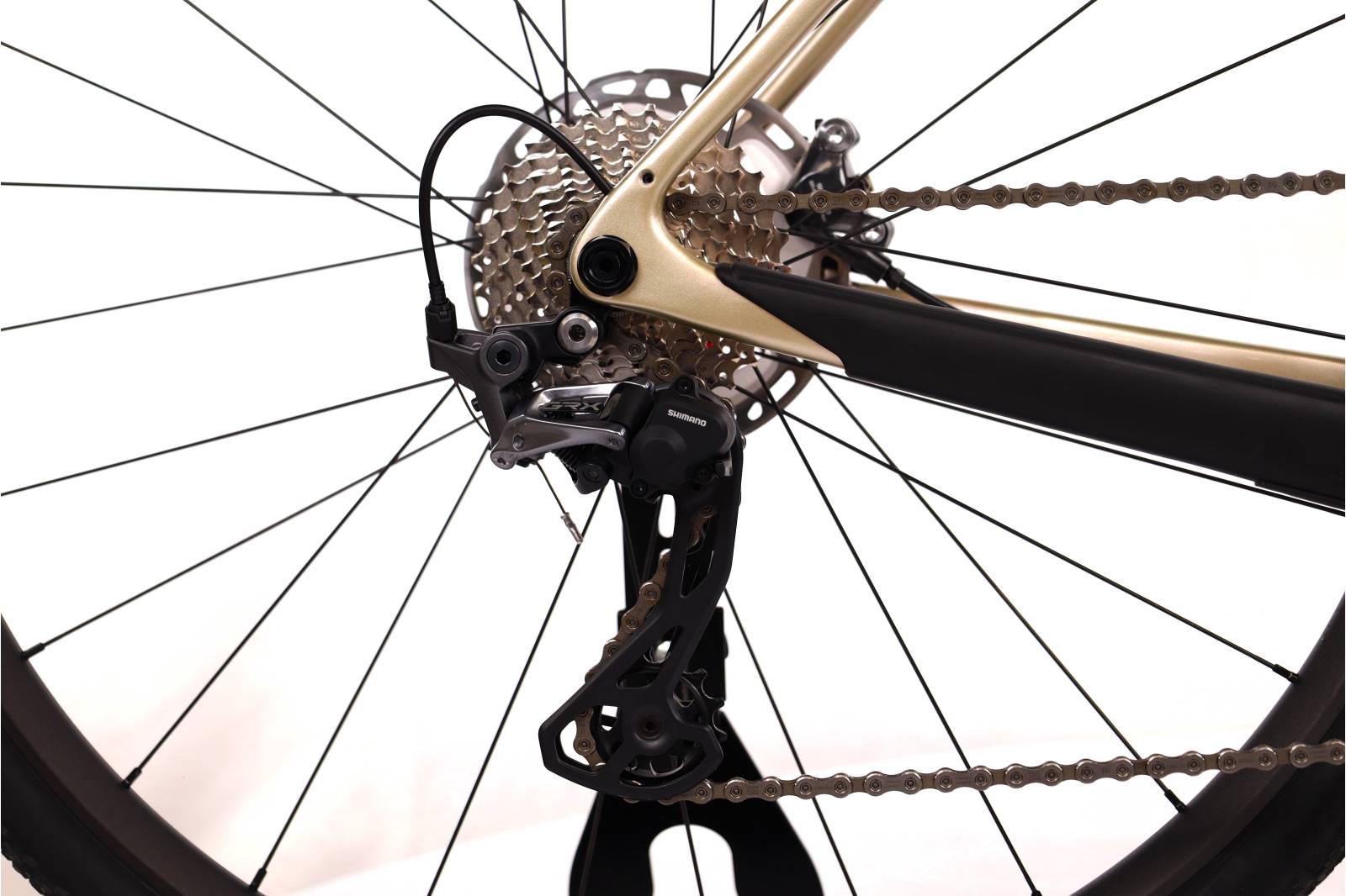 Santa Cruz Stigmata CC