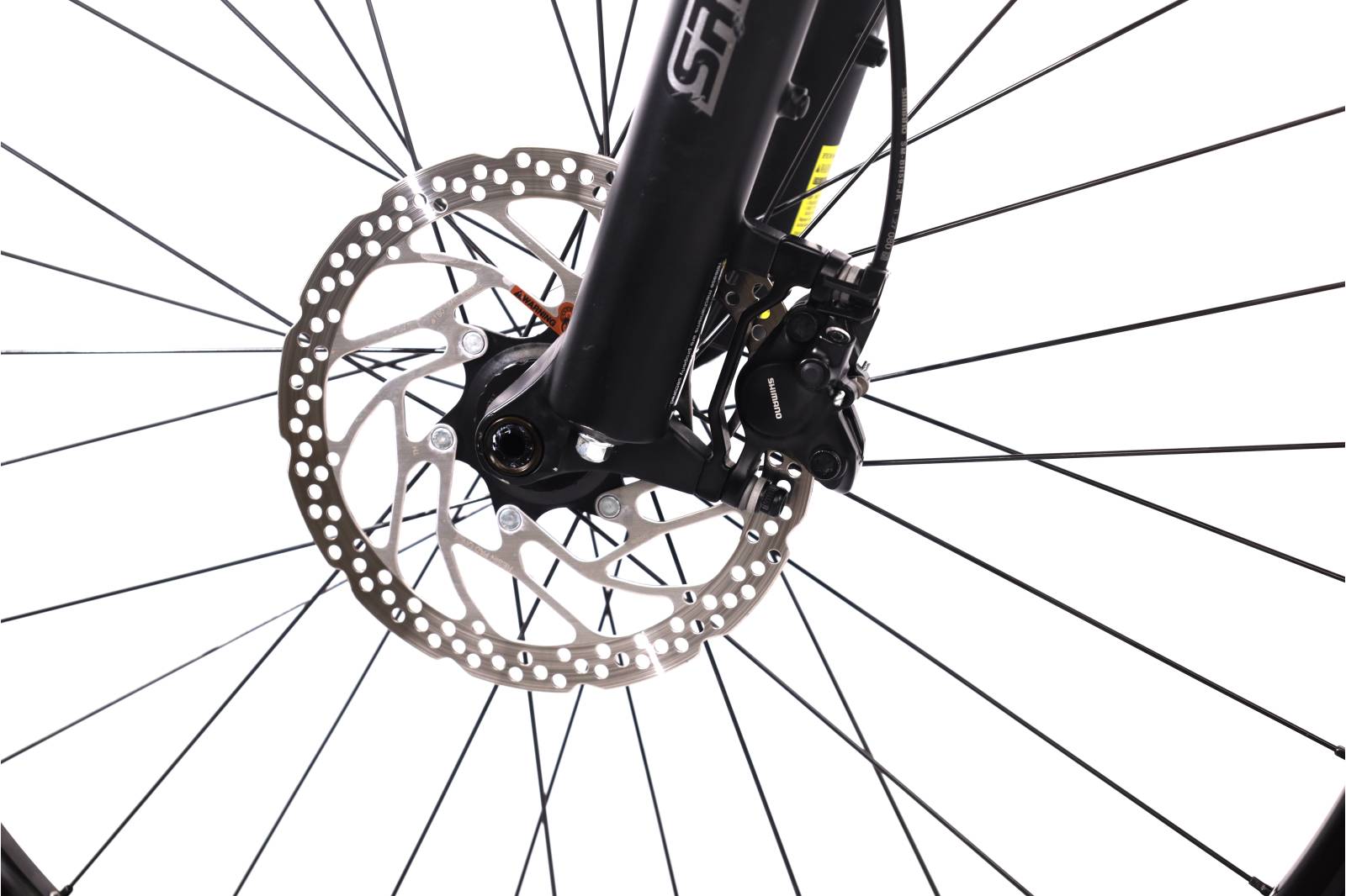 Focus Jarifa² 6.6 Seven