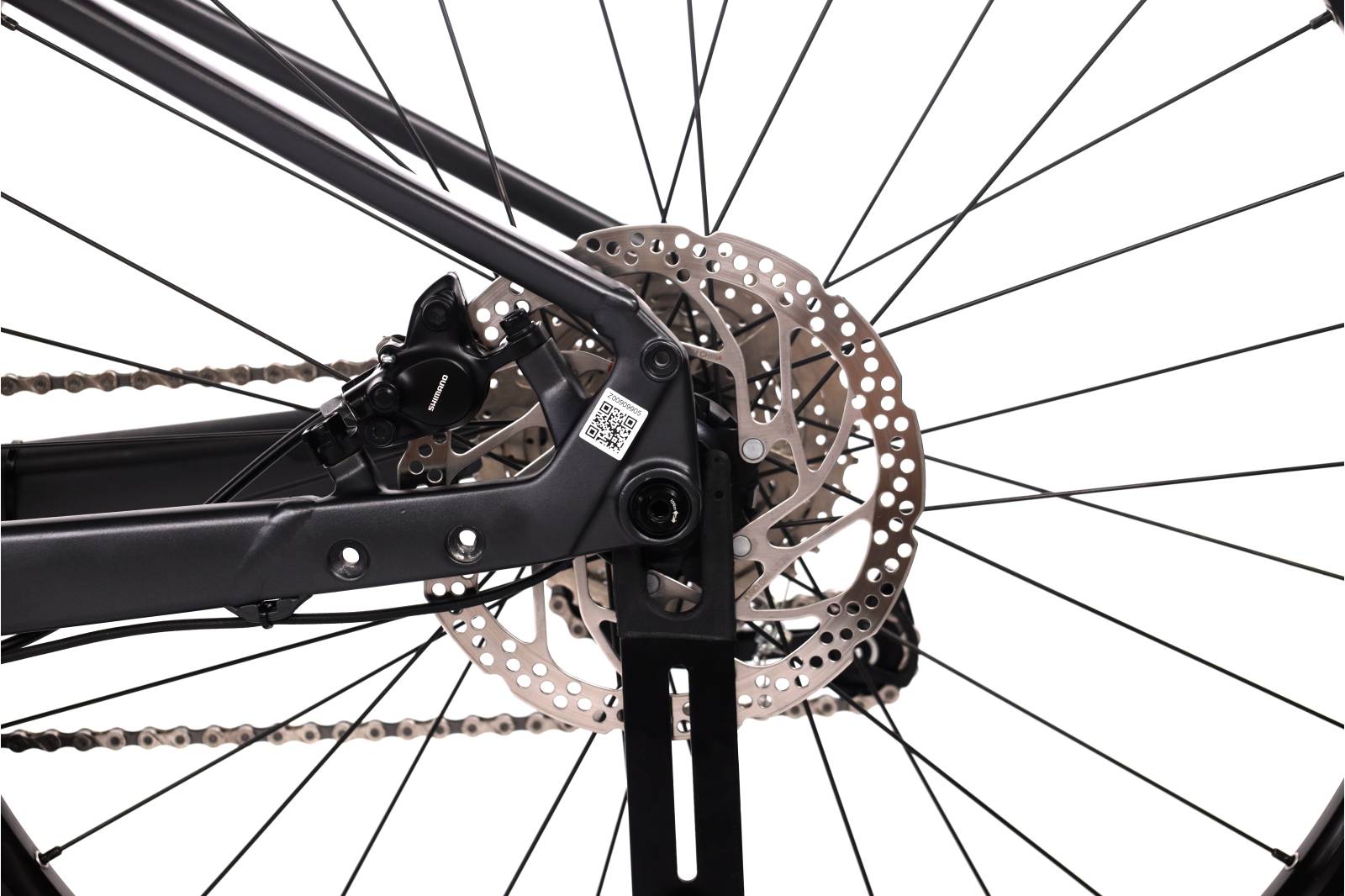 Focus Jarifa² 6.6 Seven