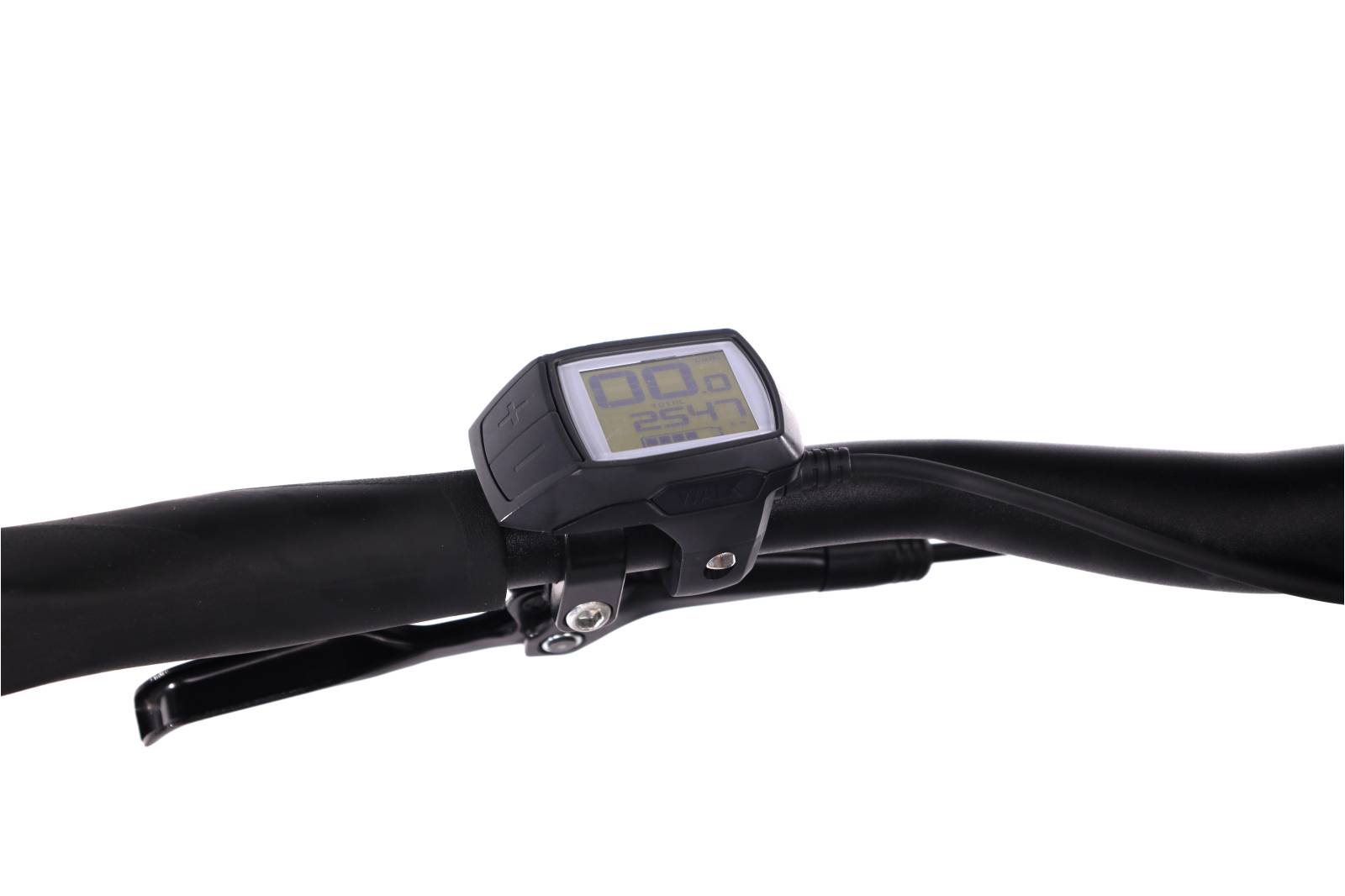 Focus Jarifa² 6.6 Seven