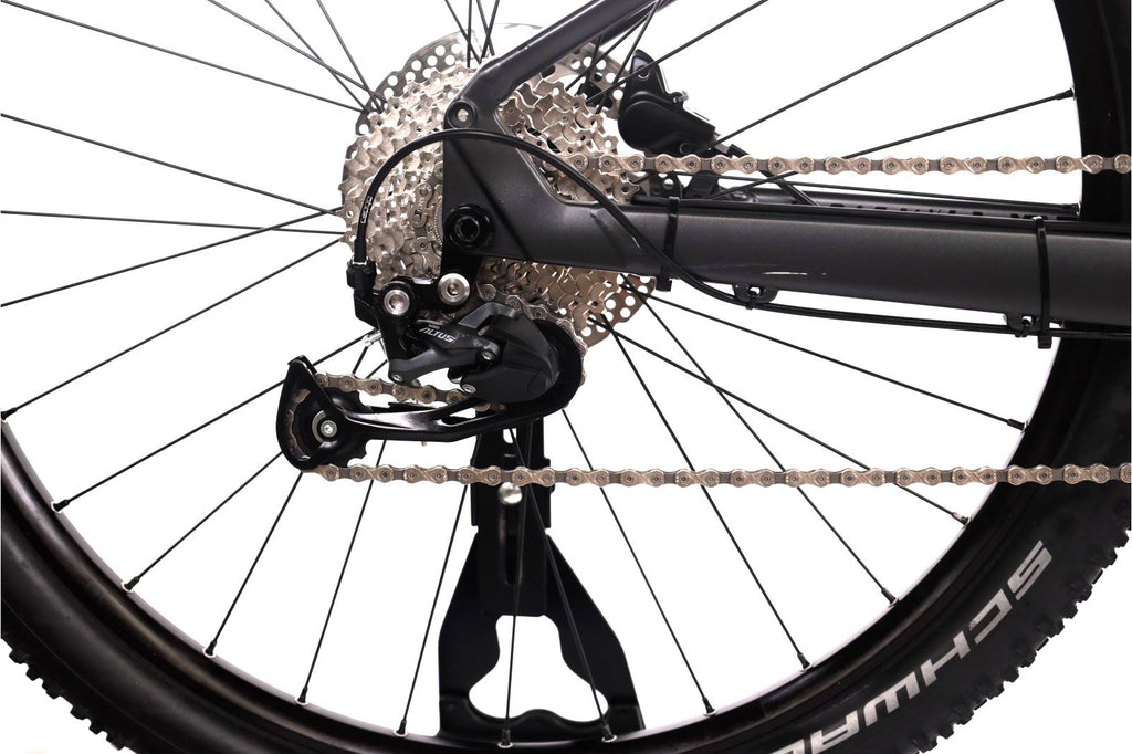 Focus Jarifa² 6.6 Seven