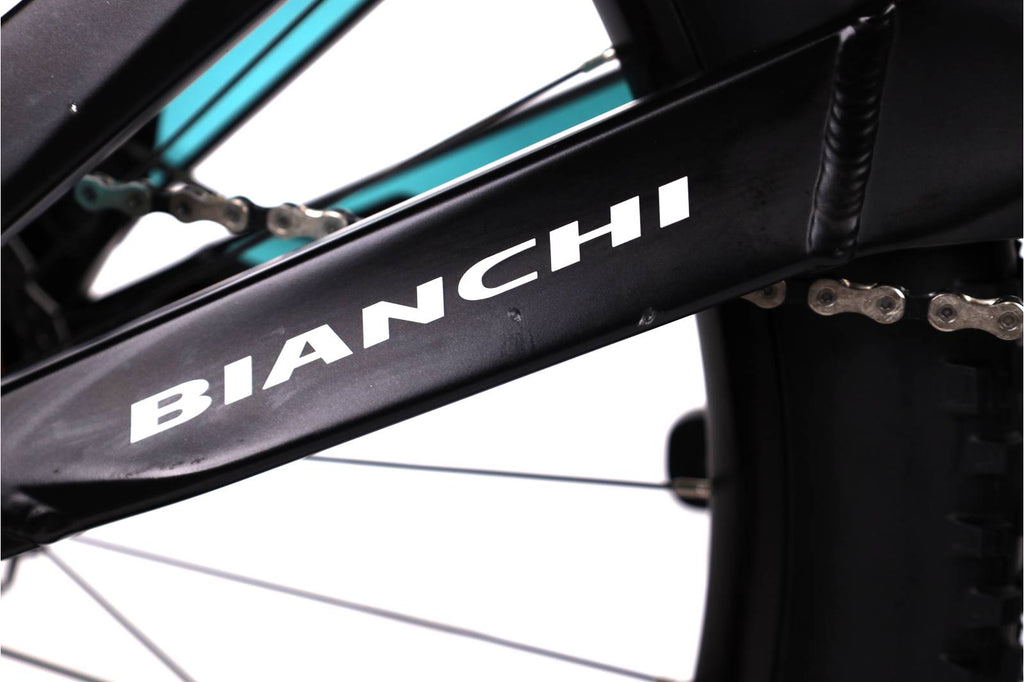 Bianchi E-Vertic  Fx Type