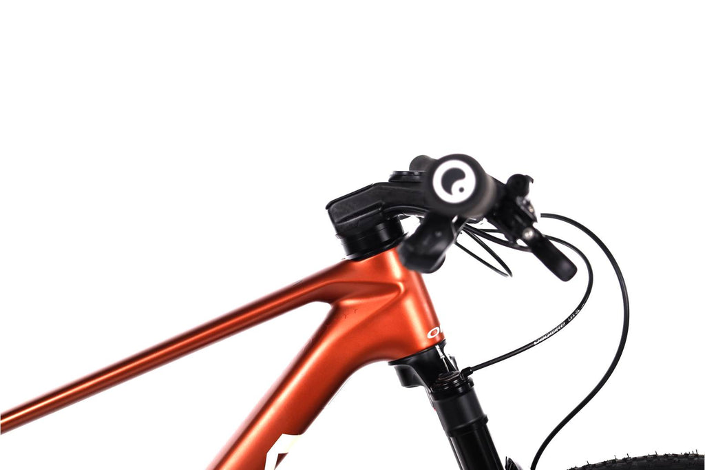 Orbea Alma M-Team AXS Carbon