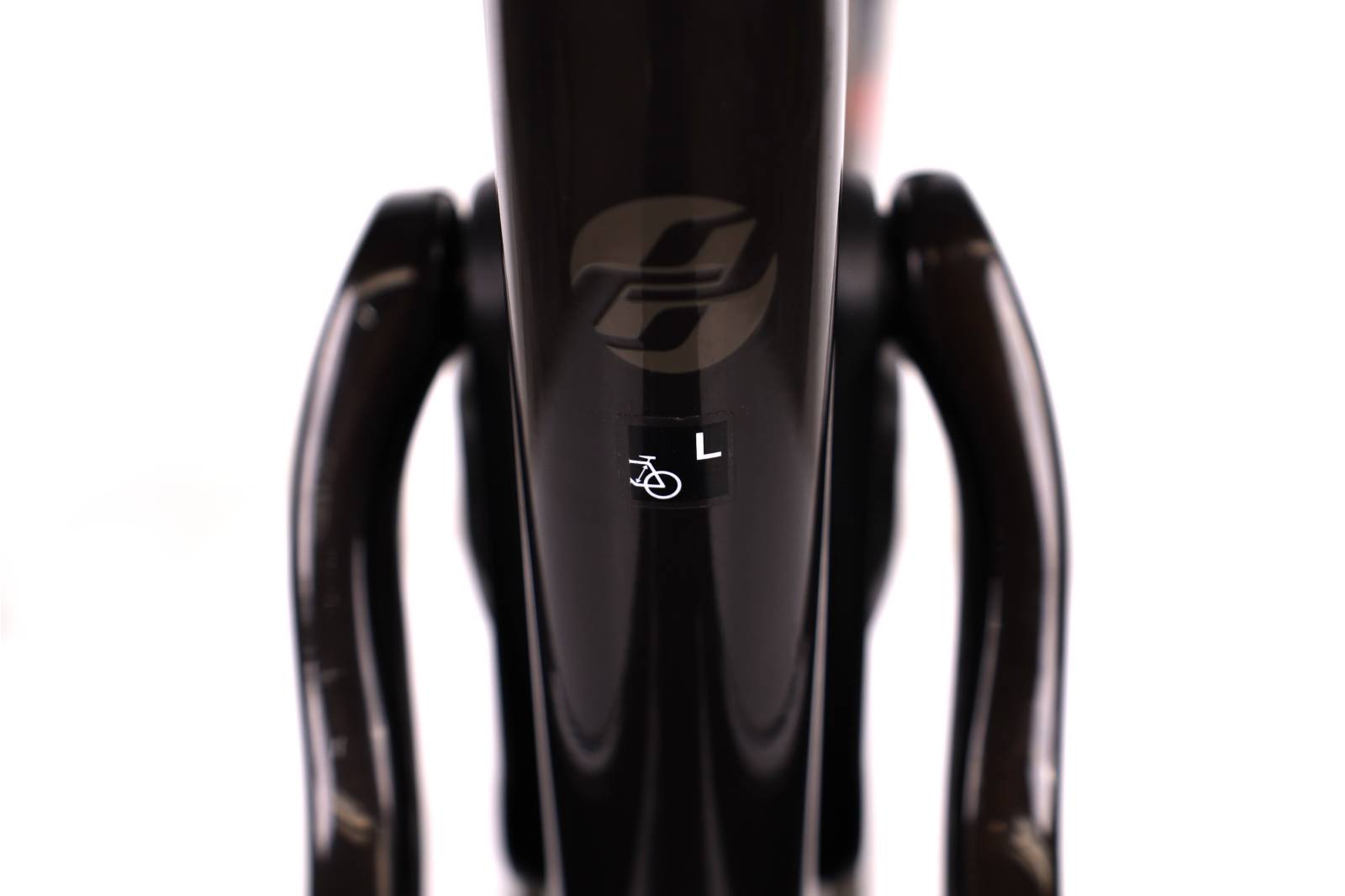 Ghost Path Riot Full Party