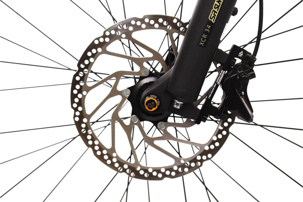 Bergamont E-Revox Premium Sport