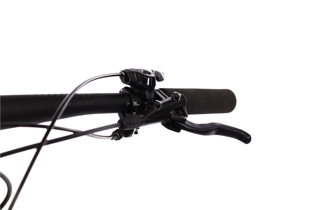 Giant Anthem Advanced 3