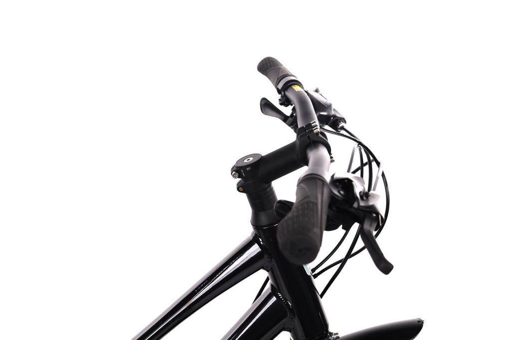 Liv Alight Disc 3 city