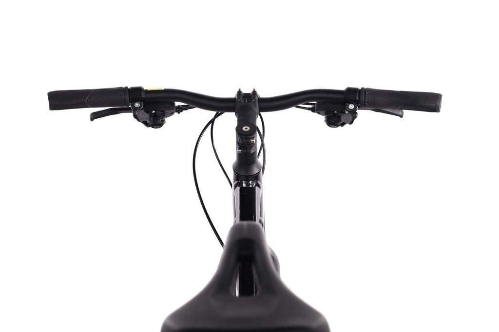 Liv Alight Disc 3 city