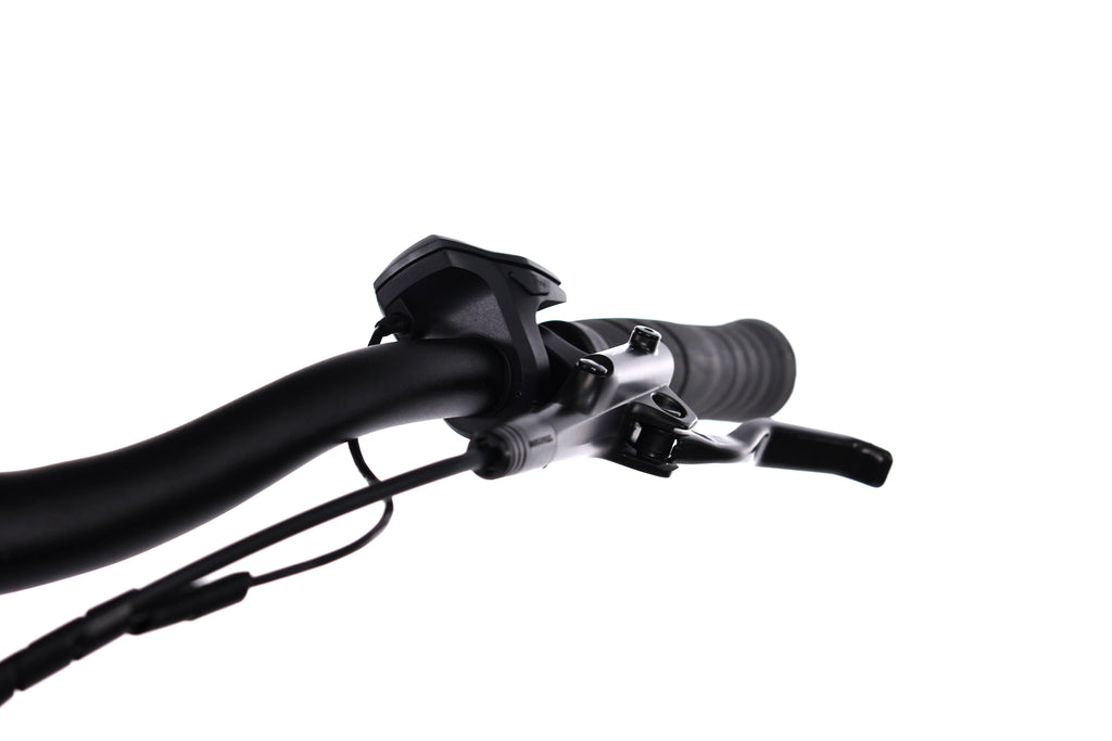 Carver Cityzen E.410 FL